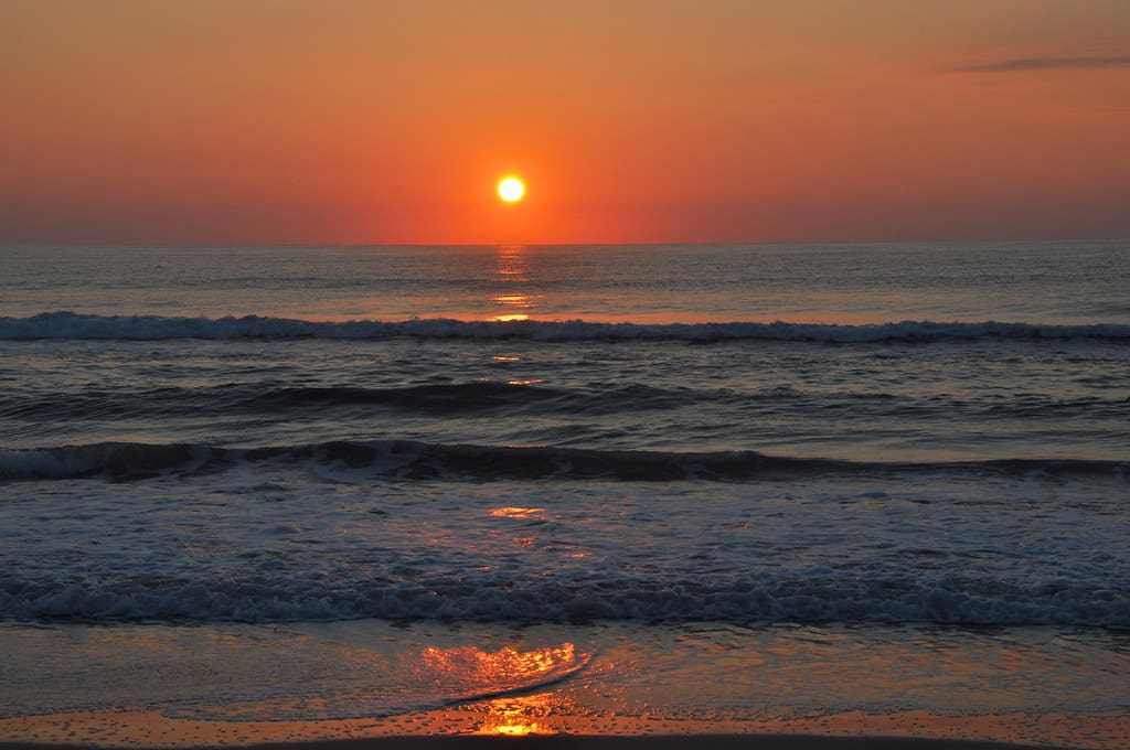 10566962493 083d18b029 b